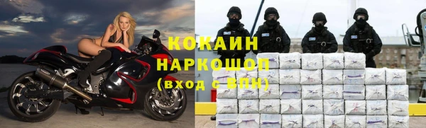 сатива Фурманов