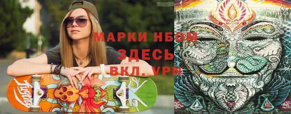 сатива Фурманов