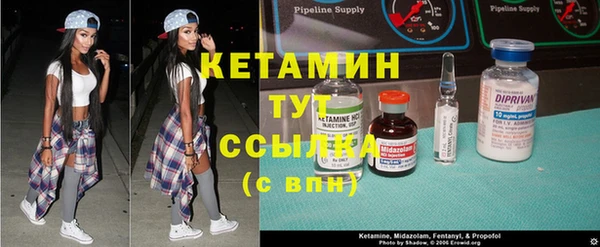 сатива Фурманов