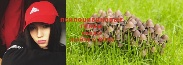 сатива Фурманов