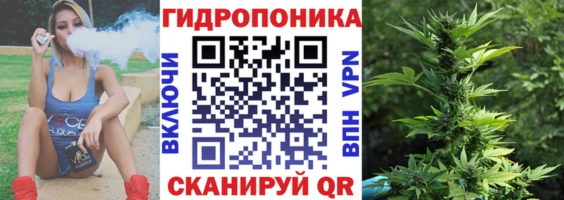 Купить где  Кашира  Шишки марихуана OG Kush 